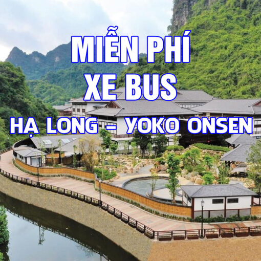 Mien phi Xe Bus Ha Long Yoko Onsen Quang Hanh